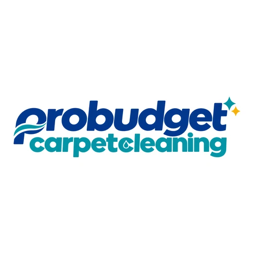 Pro Budget Carpet Cleaning logo
